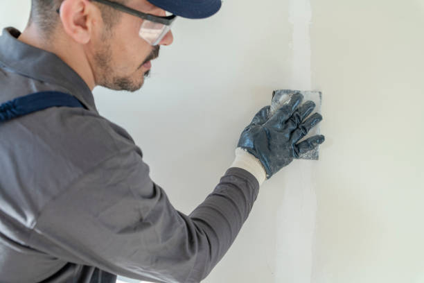 Best Fire-Damaged Drywall Repair  in Catalina Foothills, AZ